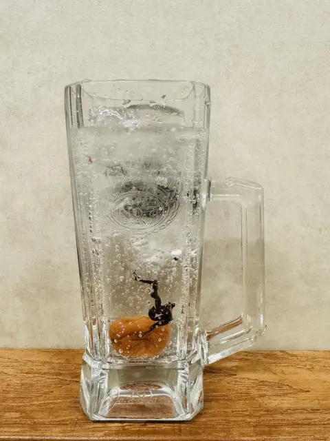 梅干しサワー